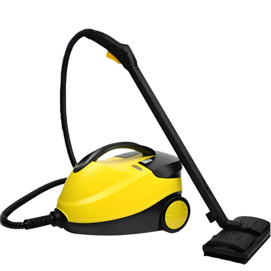 Electric Steam Cleaner for Stain Removal