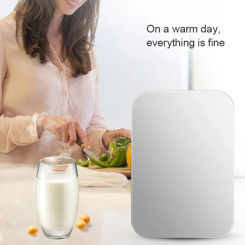 Portable Household 20L Refrigerator